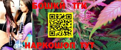 крисы Будённовск