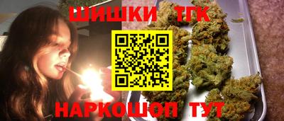 крисы Будённовск