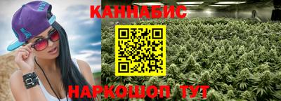 крисы Будённовск