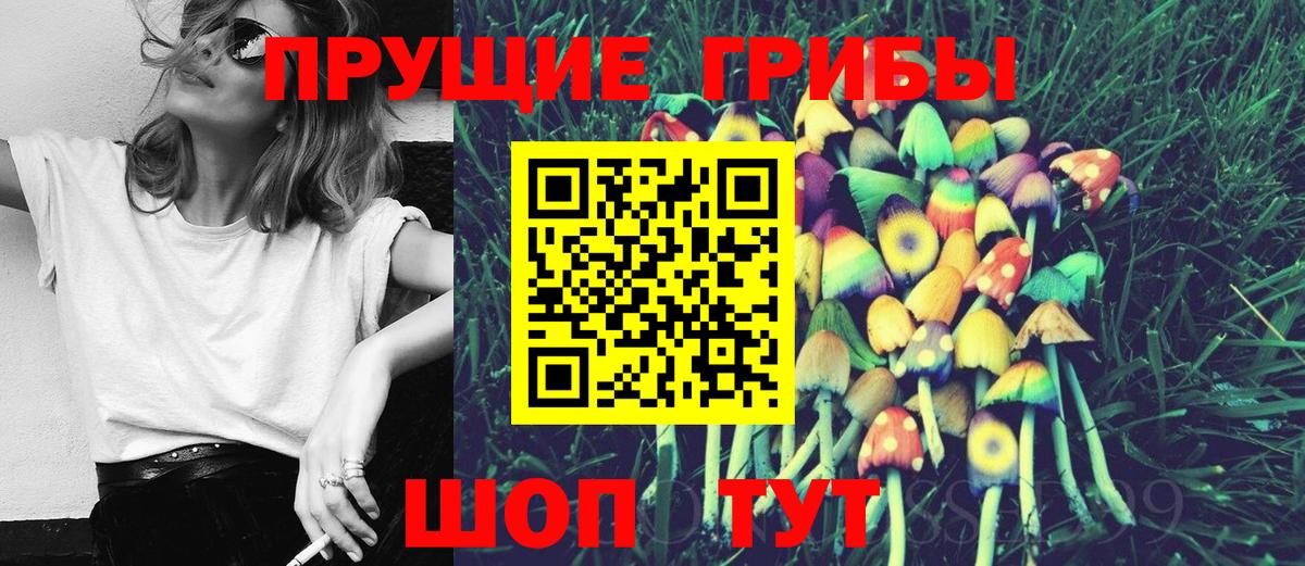 Галлюциногенные грибы мицелий  Псилоцибиновые грибы Magic Shrooms  Вход с VPN  Псков 