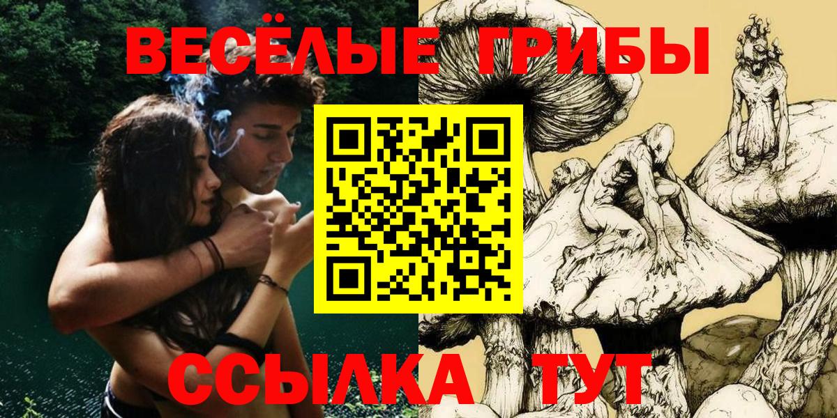 Галлюциногенные грибы мицелий Псков